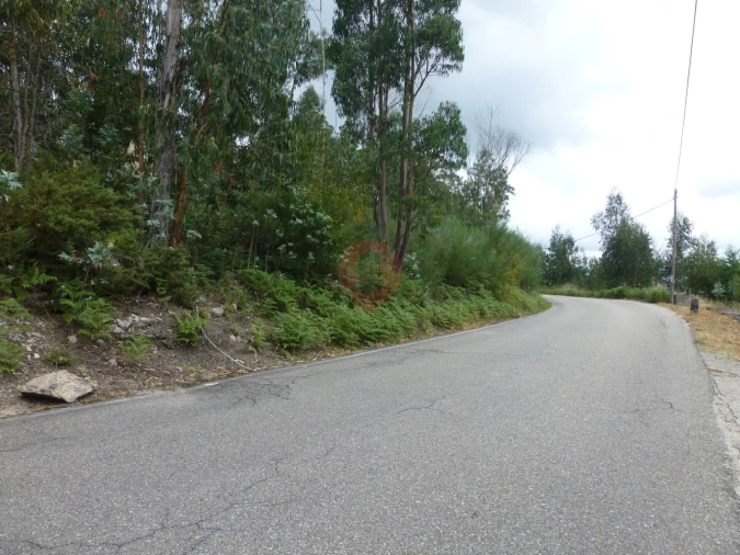 Terreno para Venda em Barbeita