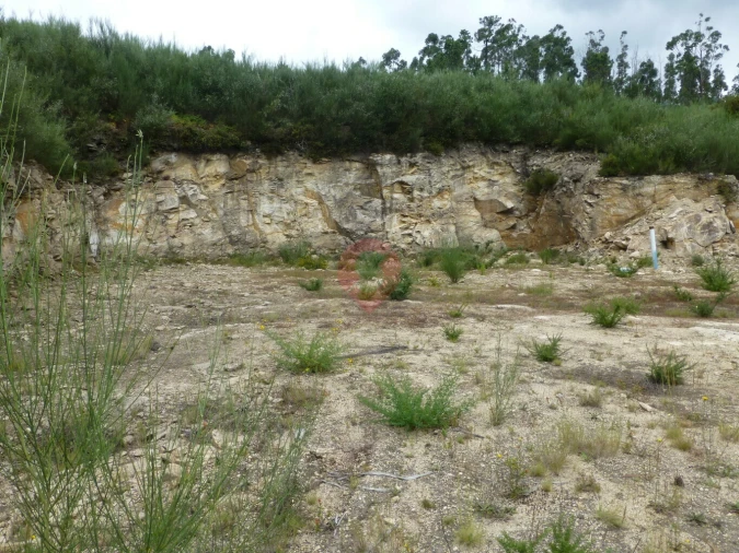 Terreno para Venda em Barbeita Foto 4