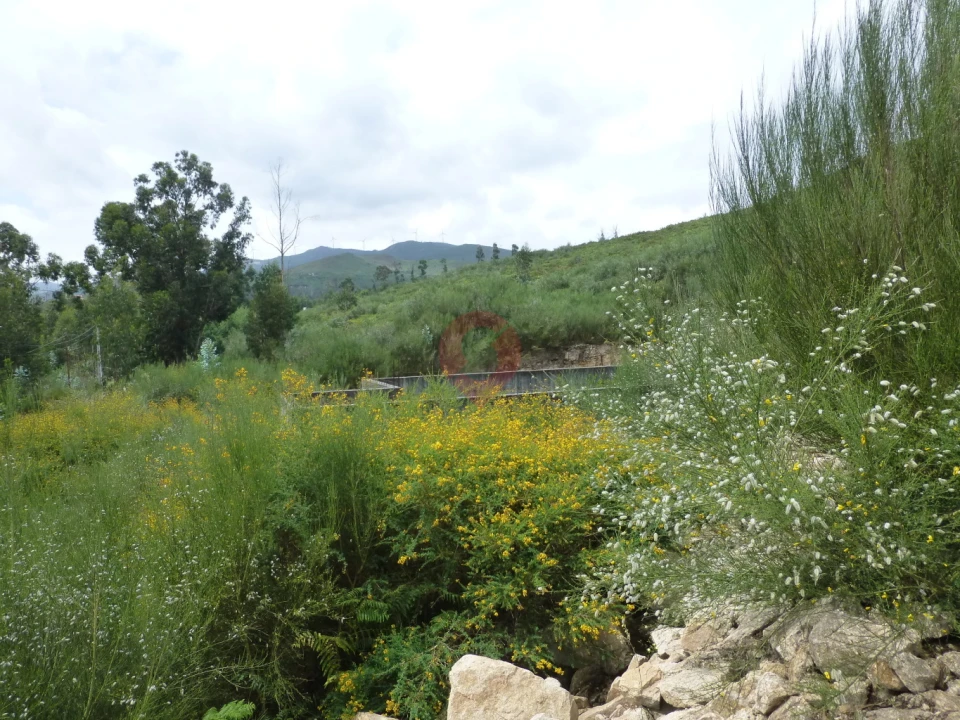 Terreno para Venda em Barbeita Foto 5