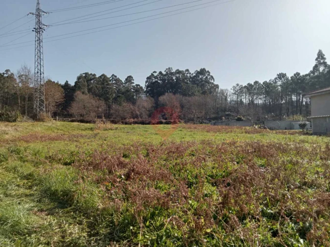 Terreno para Venda em Ganfei Foto 5