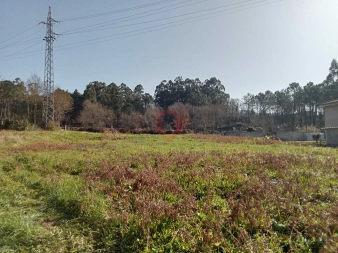 Terreno para Venda em Ganfei Foto 4