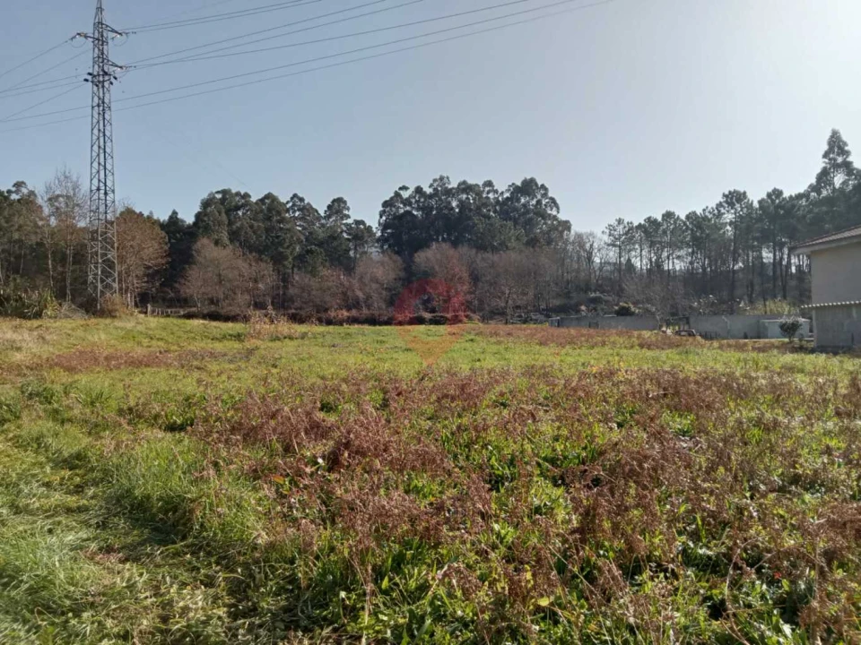 Terreno para Venda em Ganfei Foto 5