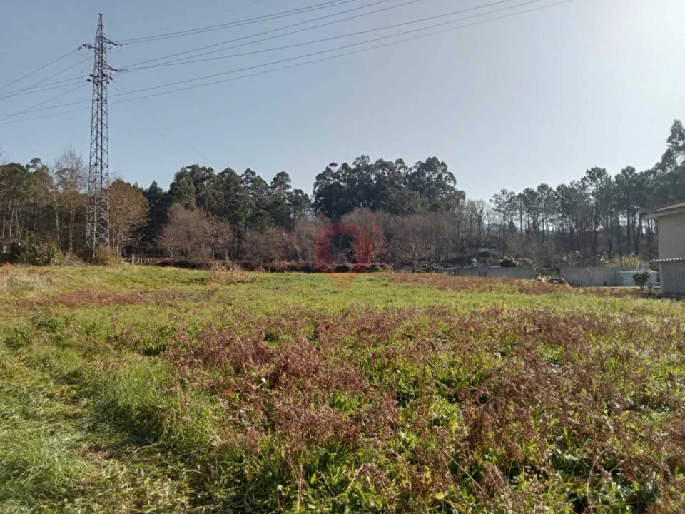 Terreno para Venda em Ganfei Foto 4