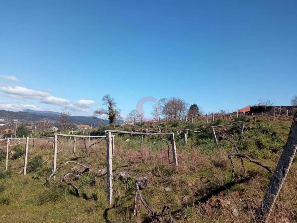 Terreno para Venda em Prado e Remoães Foto 3