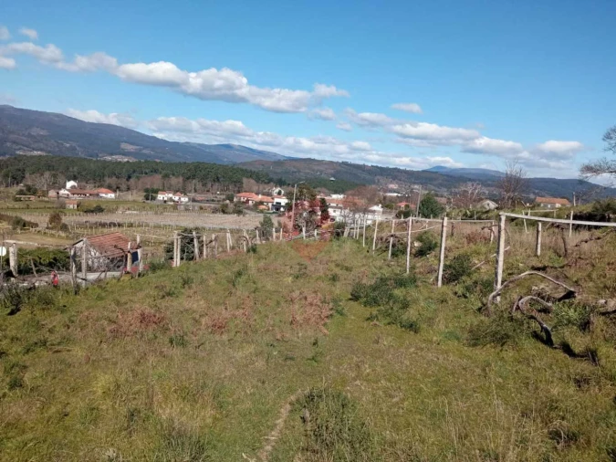 Terreno para Venda em Prado e Remoães Foto 7