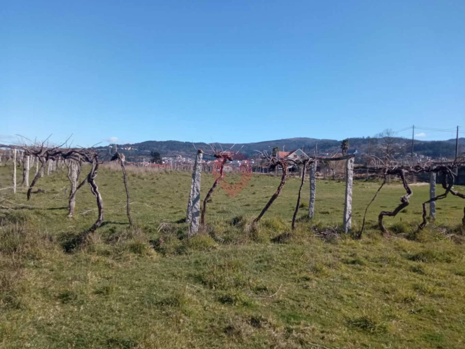 Terreno para Venda em Prado e Remoães Foto 6