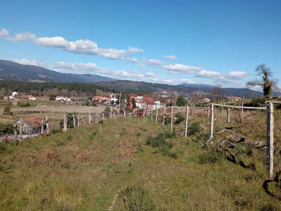 Terreno para Venda em Prado e Remoães Foto 5