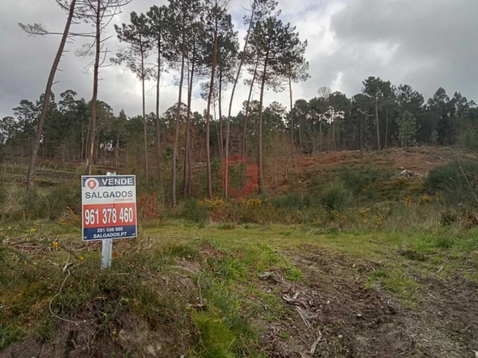 Terreno para Venda em Alvaredo Foto 2