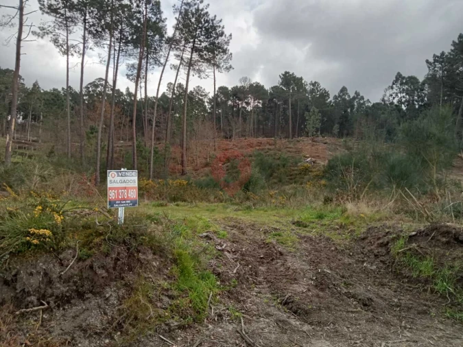 Terreno para Venda em Alvaredo Foto 1