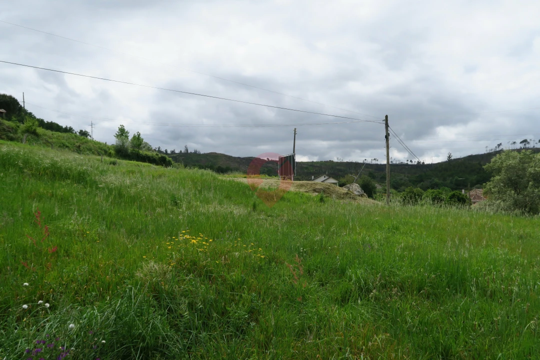 Terreno para Venda em Longos Vales Foto 2