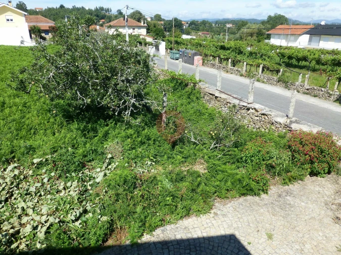 Terreno para Venda em Bela Foto 2