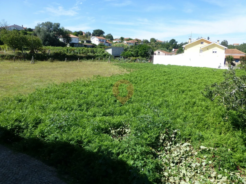 Terreno para Venda em Bela Foto 1