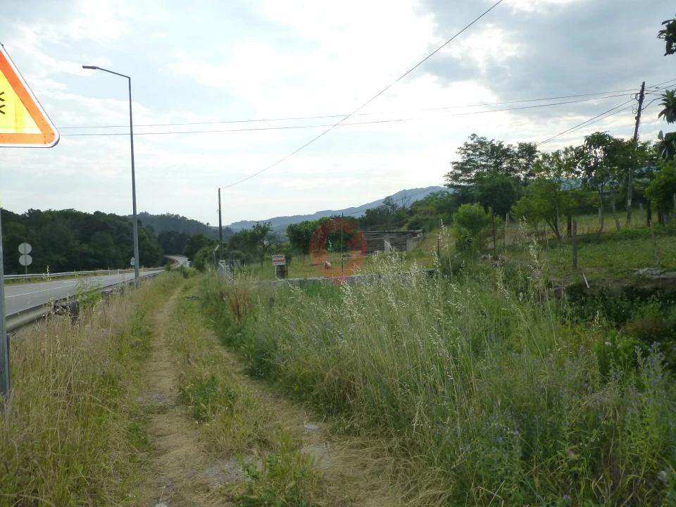 Terreno para Venda em Prado e Remoães Foto 3