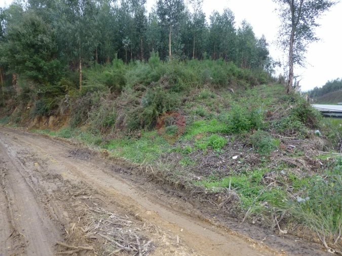 Terreno para Venda em Bela