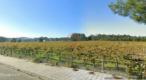 Terreno para Venda em Mazedo e Cortes