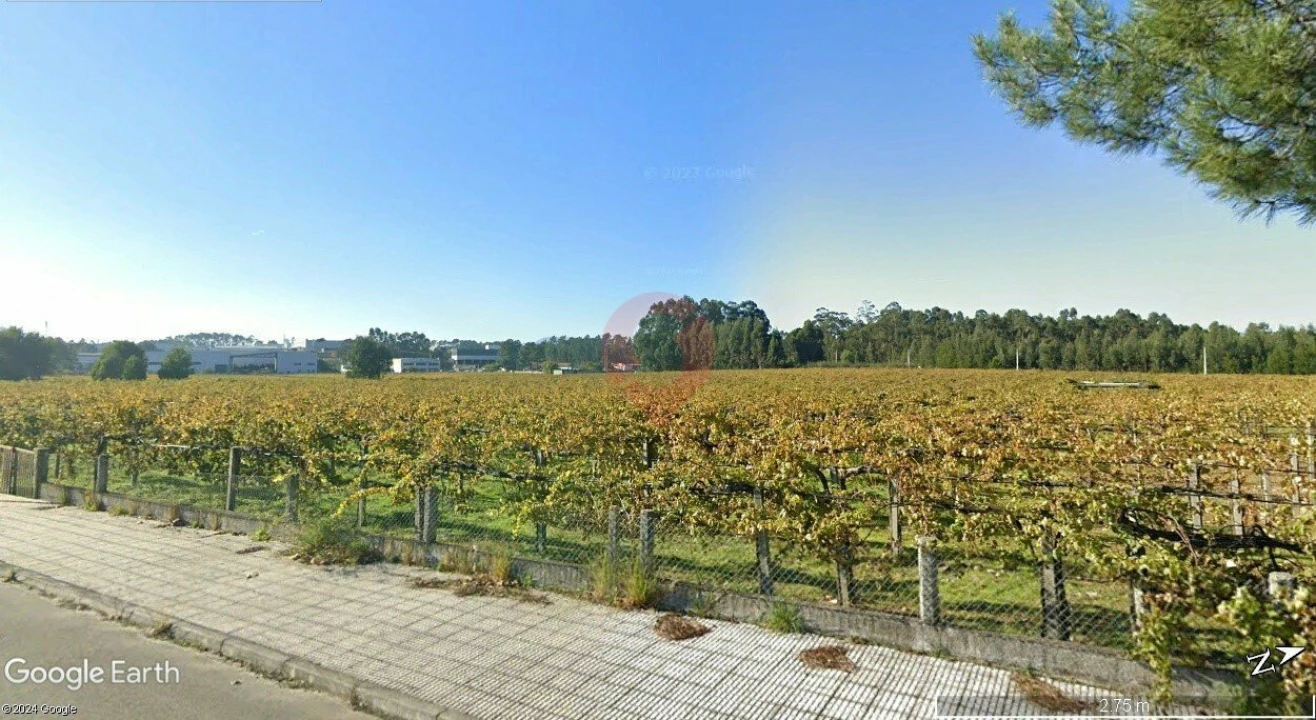 Terreno para Venda em Mazedo e Cortes Foto 1