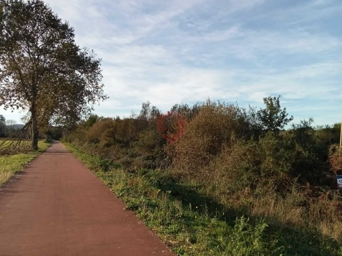 Terreno para Venda em Ganfei Foto 4