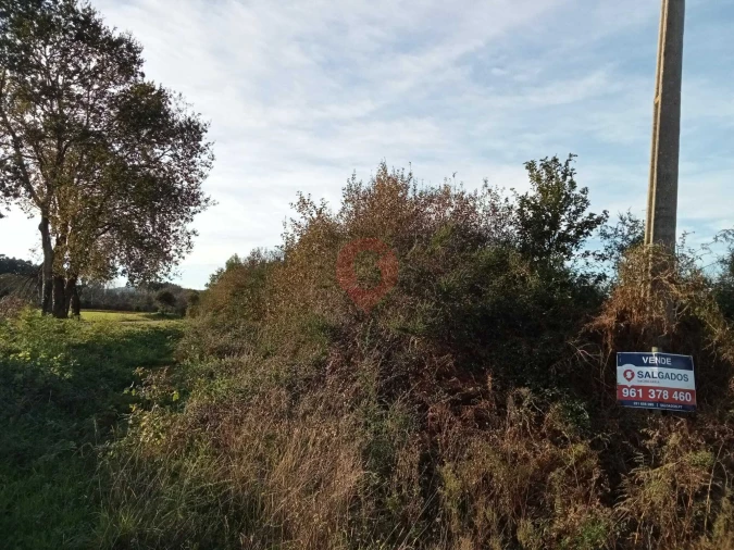 Terreno para Venda em Ganfei Foto 3