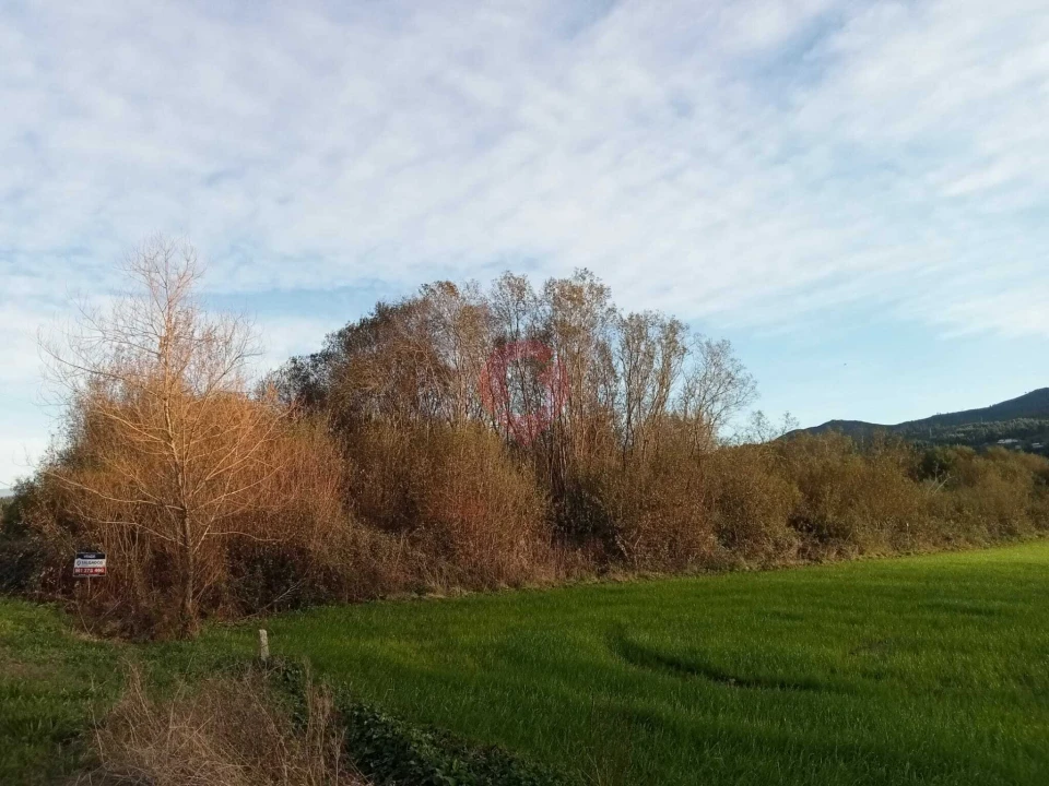Terreno para Venda em Ganfei Foto 2