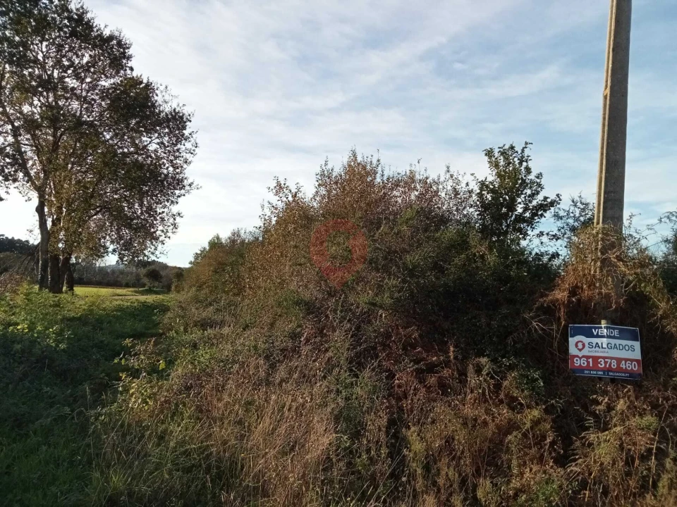 Terreno para Venda em Ganfei Foto 3