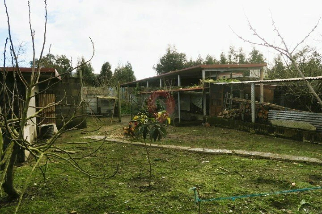 Terreno para Venda em Bela Foto 3