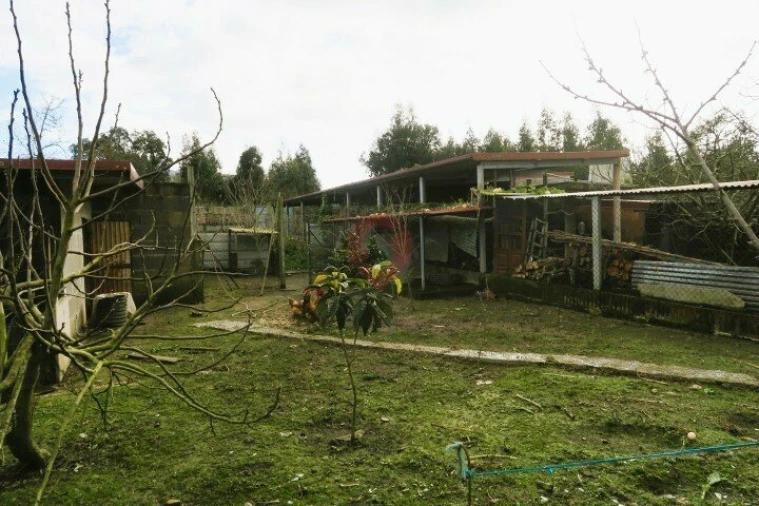 Terreno para Venda em Bela Foto 3