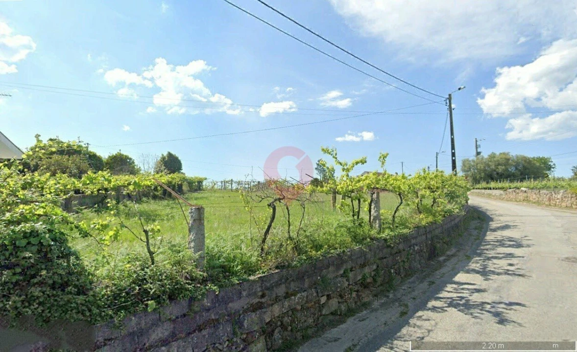 Terreno para Venda em Bela Foto 2