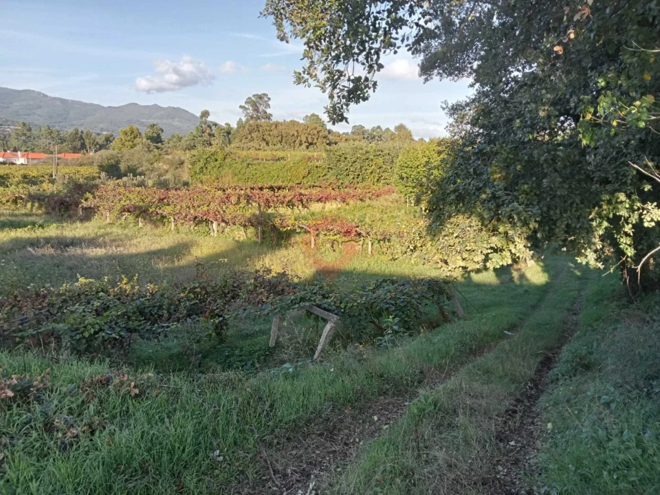 Terreno para Venda em Barbeita Foto 3