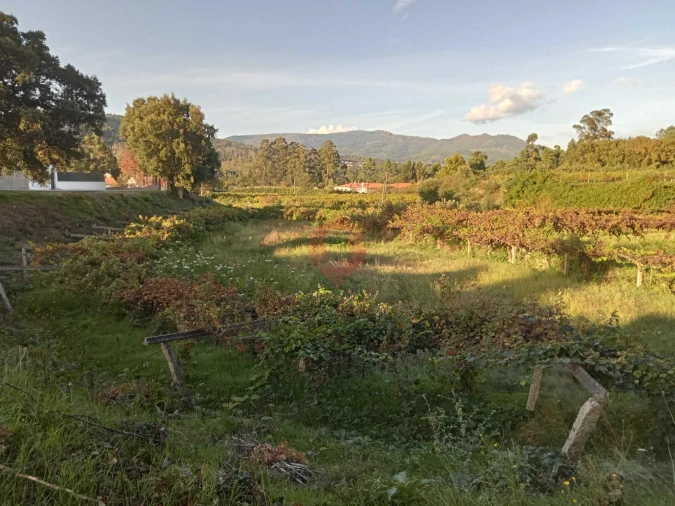 Terreno para Venda em Barbeita Foto 2