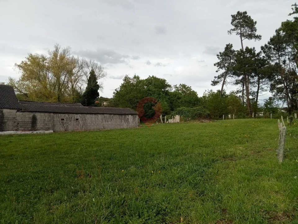 Terreno para Venda em Mazedo e Cortes Foto 4
