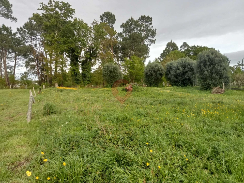 Terreno para Venda em Mazedo e Cortes Foto 1