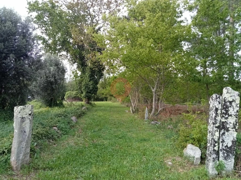 Terreno para Venda em Mazedo e Cortes Foto 5