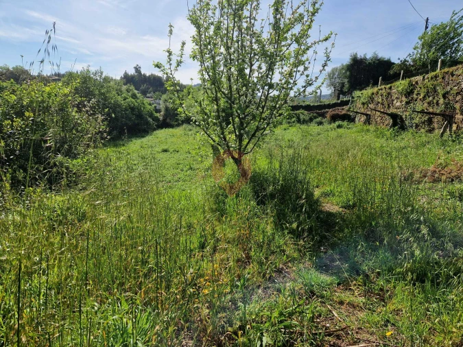 Terreno para Venda em Bela Foto 5