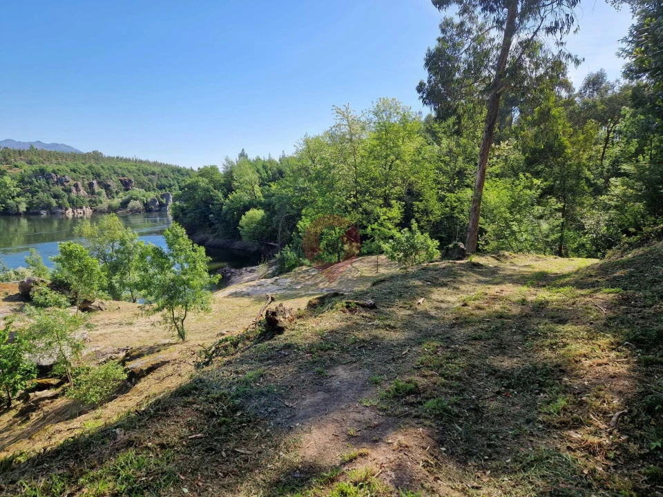 Terreno para Venda em Bela Foto 3