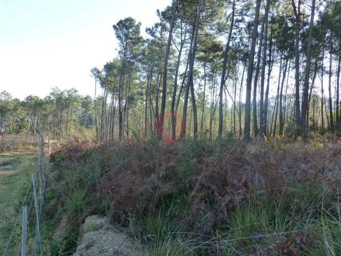 Terreno para Venda em Monção e Troviscoso Foto 1