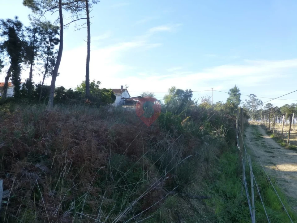 Terreno para Venda em Monção e Troviscoso Foto 2