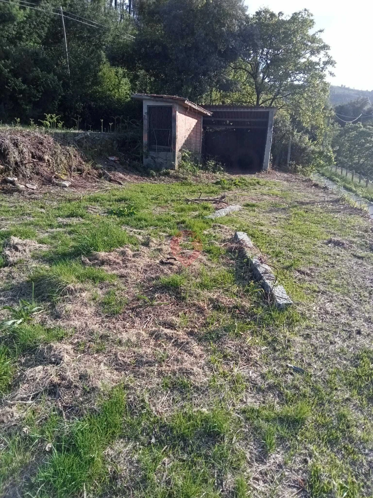 Terreno para Venda em Abedim Foto 1