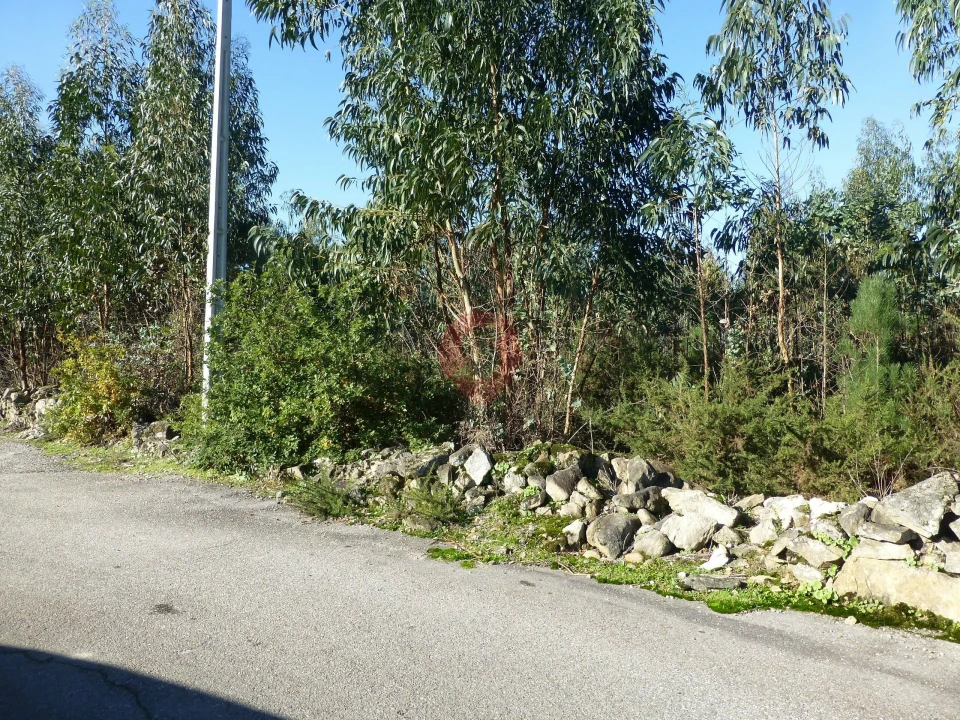 Terreno para Venda em Bela Foto 2