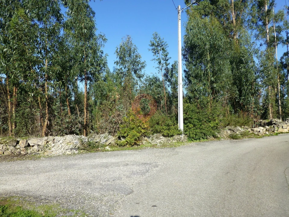 Terreno para Venda em Bela Foto 1