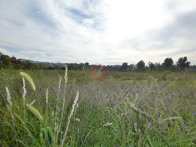 Terreno para Venda em Bela Foto 3