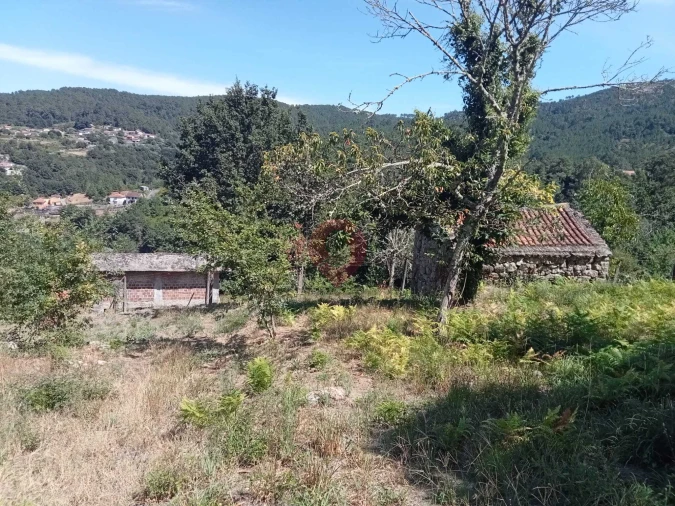Terreno para Venda em Cristoval Foto 5