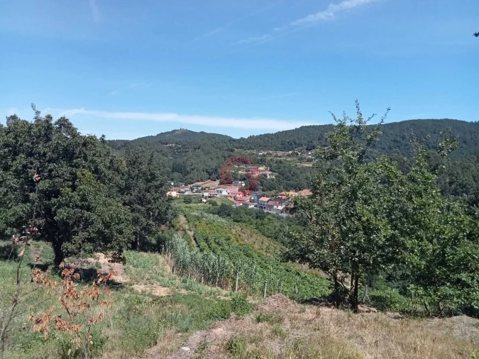 Terreno para Venda em Cristoval Foto 4