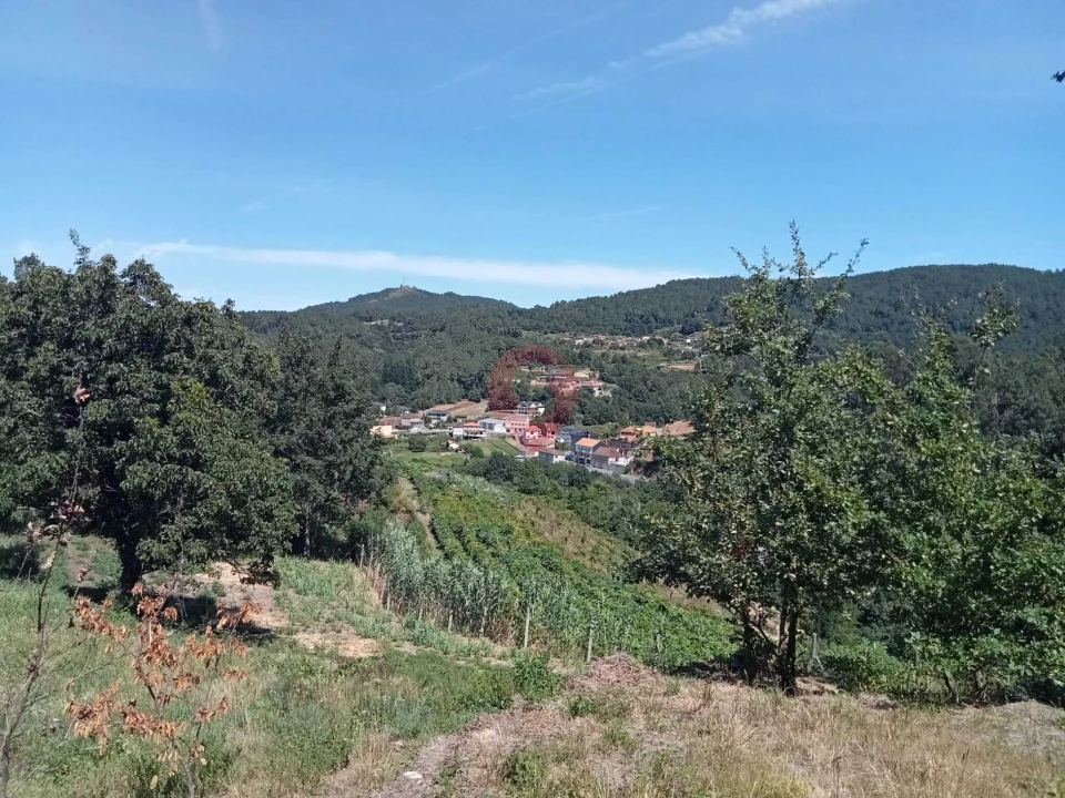 Terreno para Venda em Cristoval Foto 4
