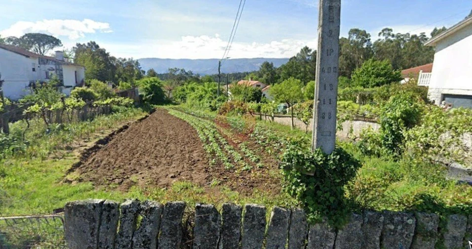 Terreno para Venda em Mazedo e Cortes Foto 1