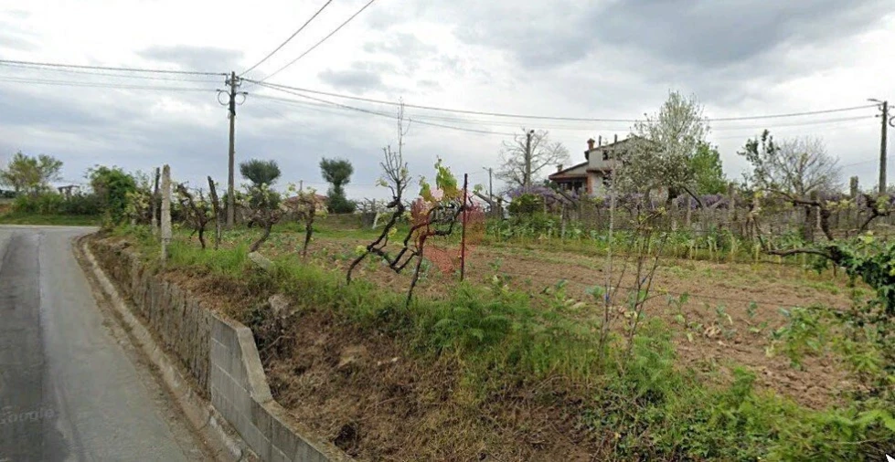 Terreno para Venda em Mazedo e Cortes Foto 3