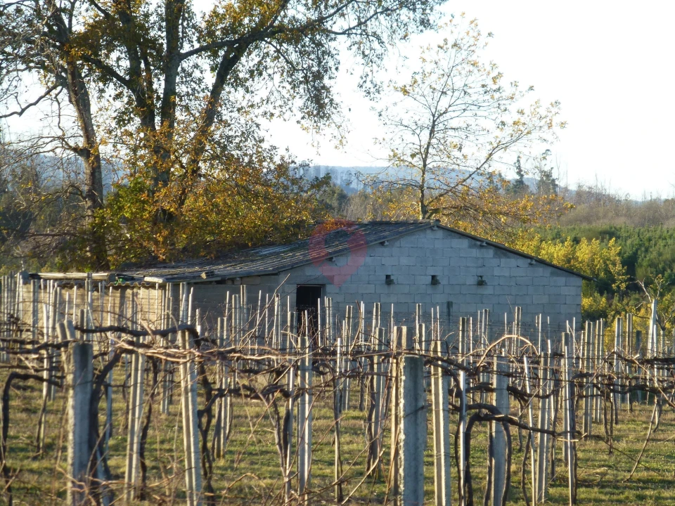 Terreno para Venda em Barbeita Foto 1