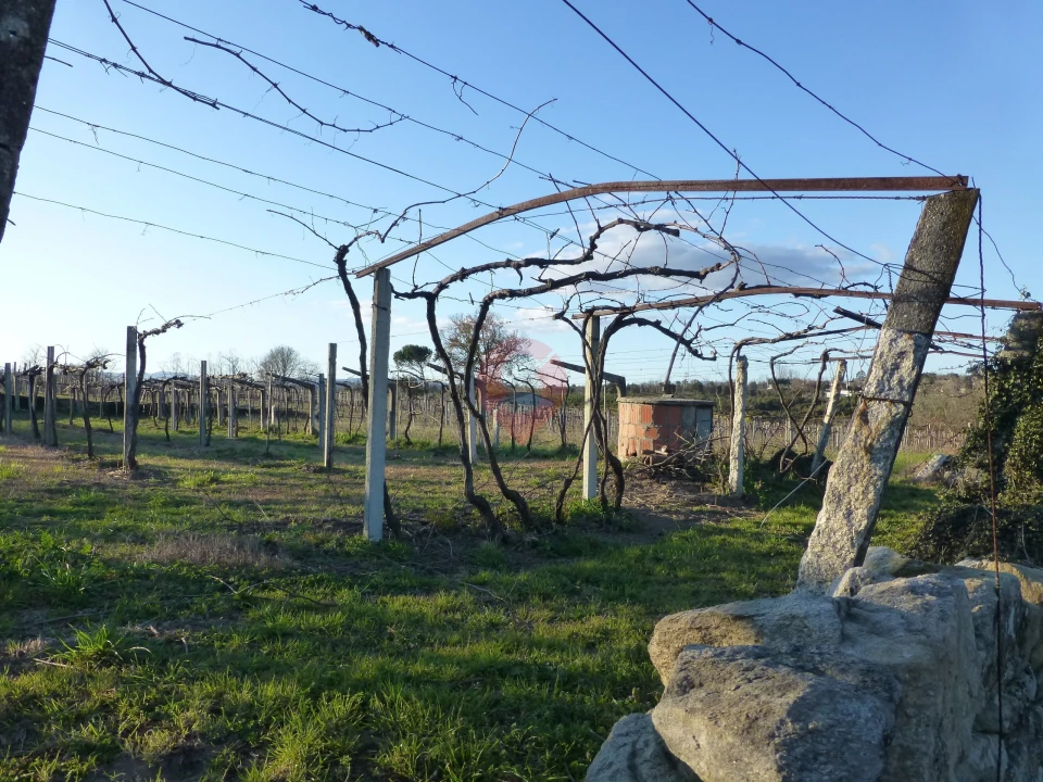 Terreno para Venda em Barbeita Foto 2