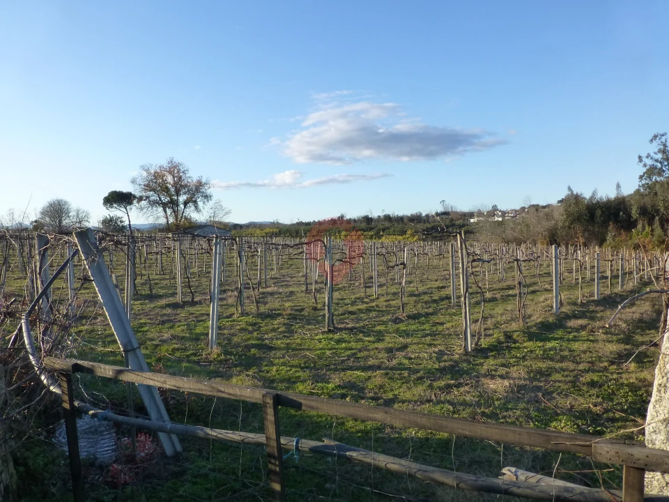 Terreno para Venda em Barbeita Foto 3