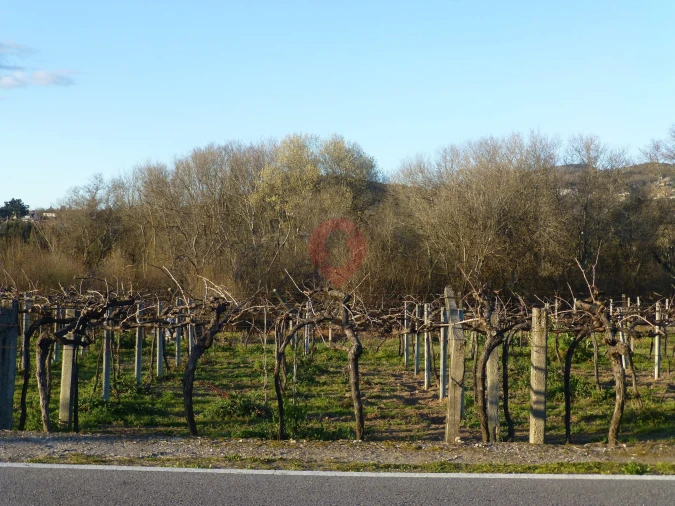 Terreno para Venda em Barbeita Foto 2