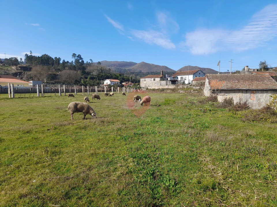 Terreno para Venda em Gondomil e Sanfins Foto 2